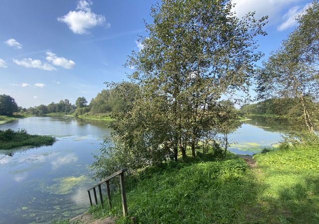 городской округ Дмитровский д Федоровка Дубна фото