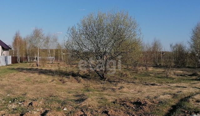 земля городской округ Коломенский п Проводник Коломна фото