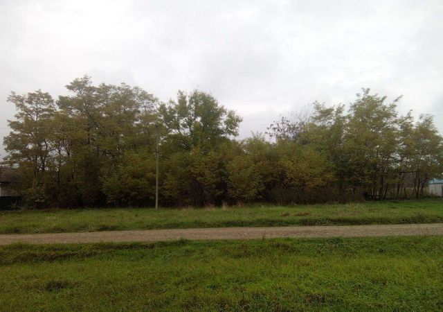 Петропавловское сельское поселение фото