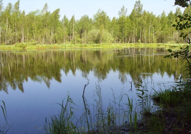 товарищество собственников недвижимости Павел Раков, 137 вл А, Новопетровское фото