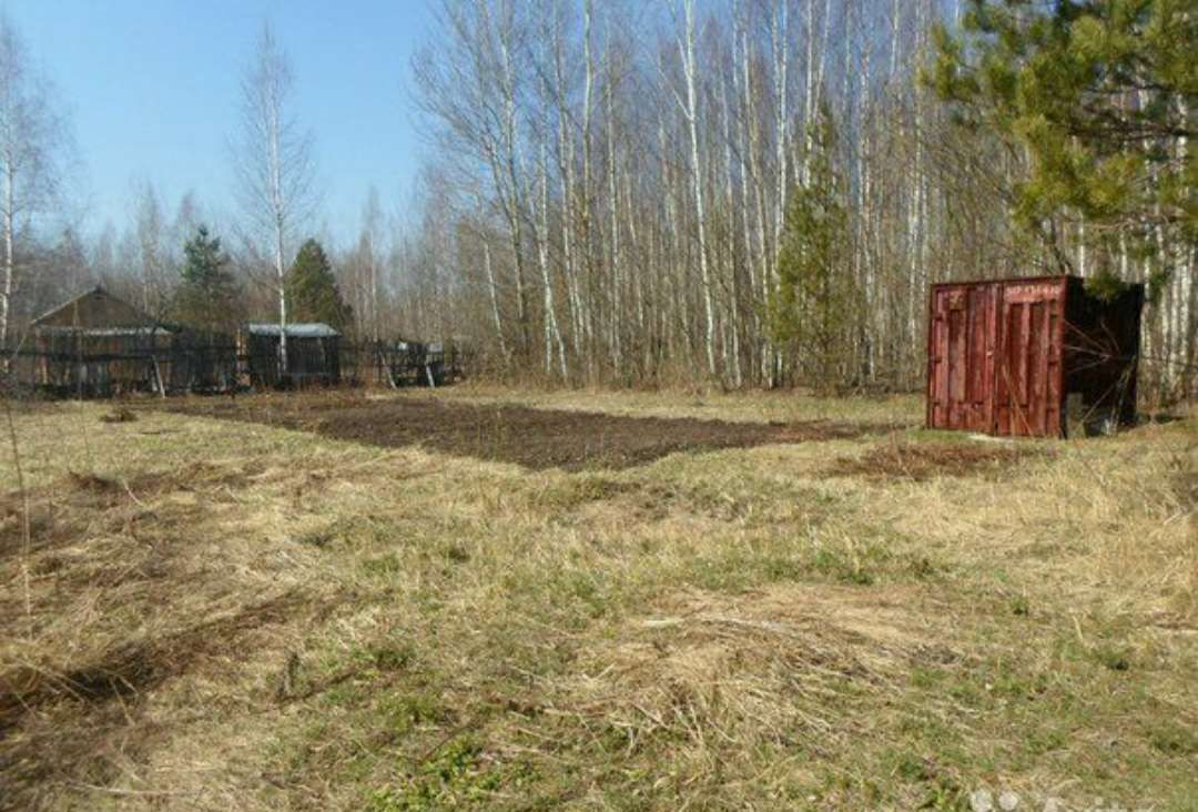 земля городской округ Орехово-Зуевский садовое дачное товарищество Феникс, 6-я линия, Орехово-Зуево фото 1