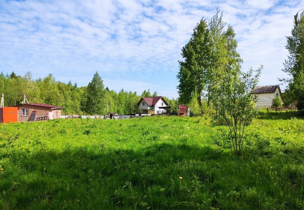 земля городской округ Сергиево-Посадский с Сватково Краснозаводск фото 20