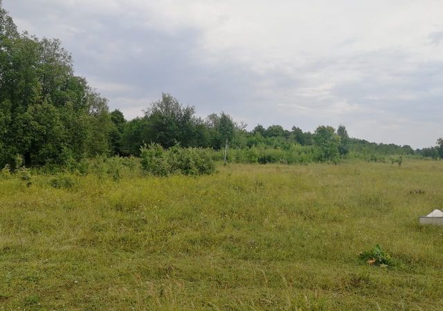 Сокольское сельское поселение, Нижнекамск фото