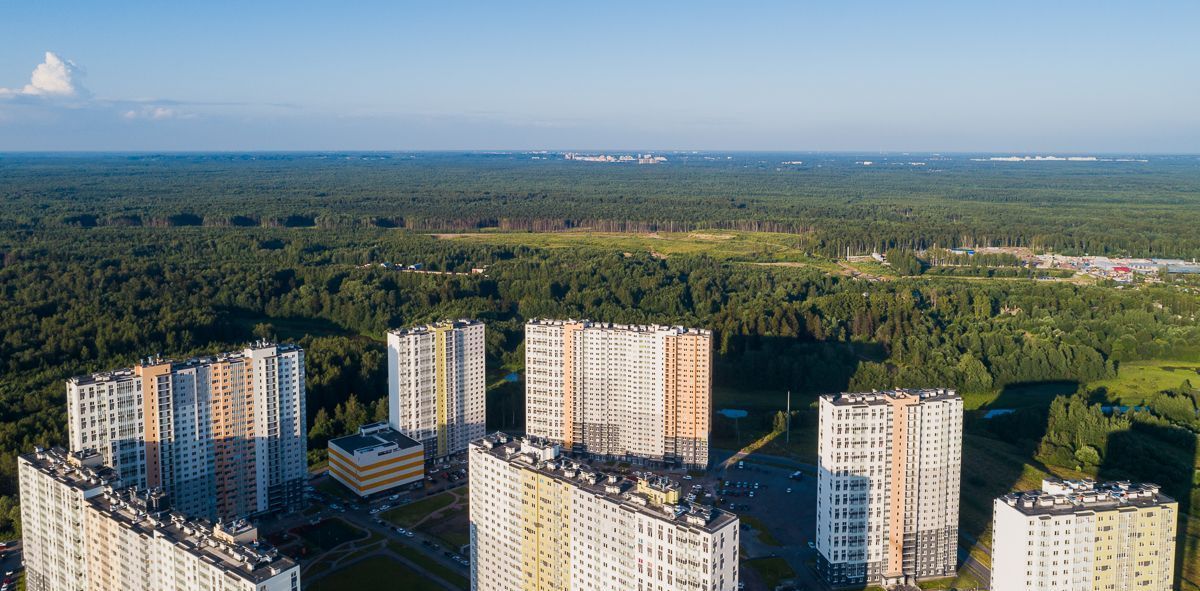 квартира г Санкт-Петербург метро Девяткино Цветной Город ЖК фото 21