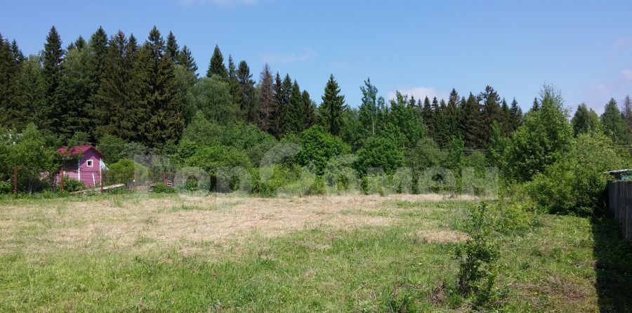 земля городской округ Клин д Денисово снт Радуга Новопетровское фото 2