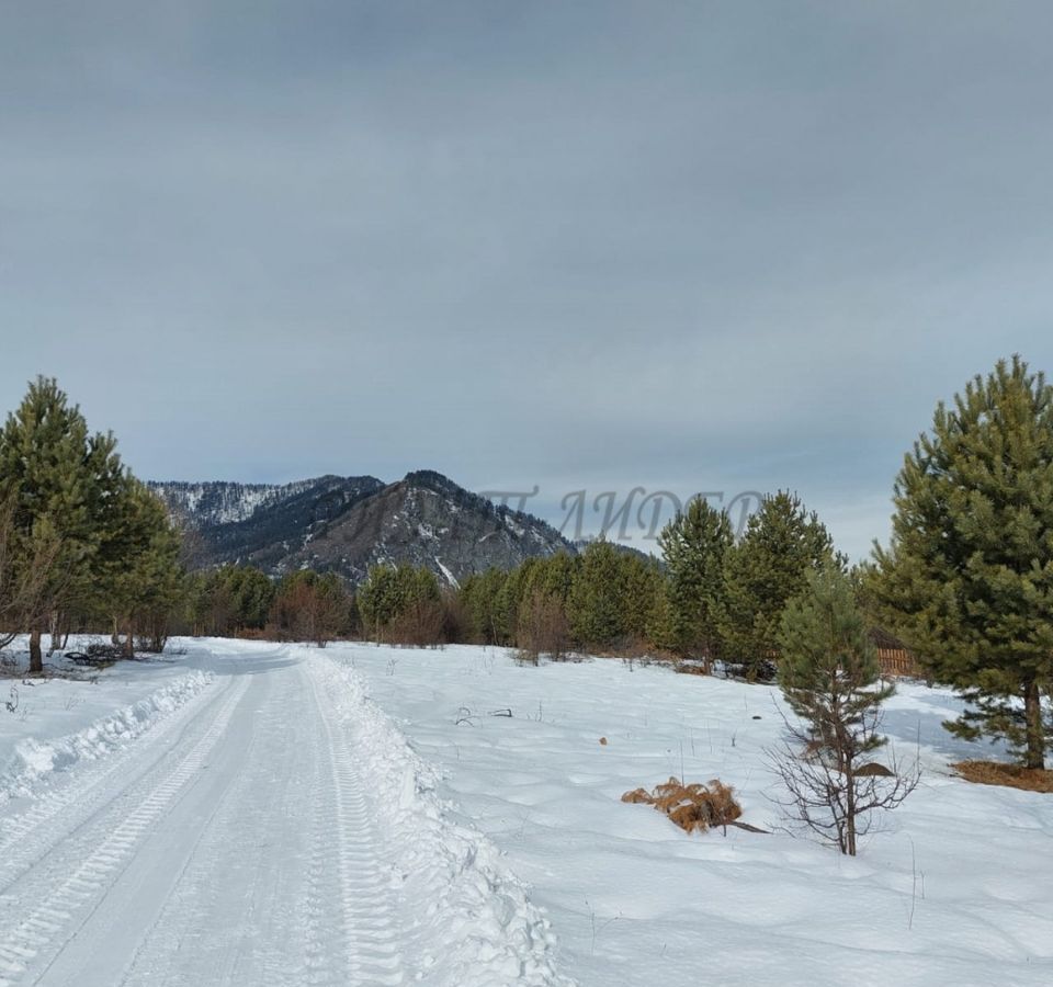 земля р-н Чемальский с Анос Горно-Алтайск фото 3