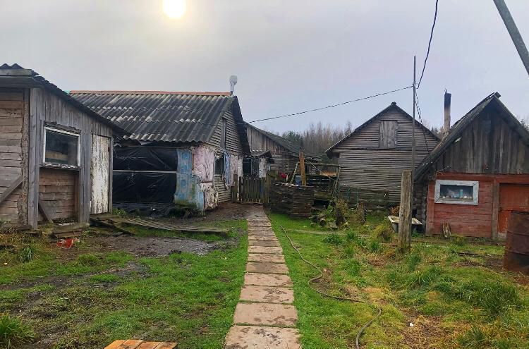 дом р-н Бокситогорский г Пикалево Самойловское сельское поселение, д. Спирово фото 9