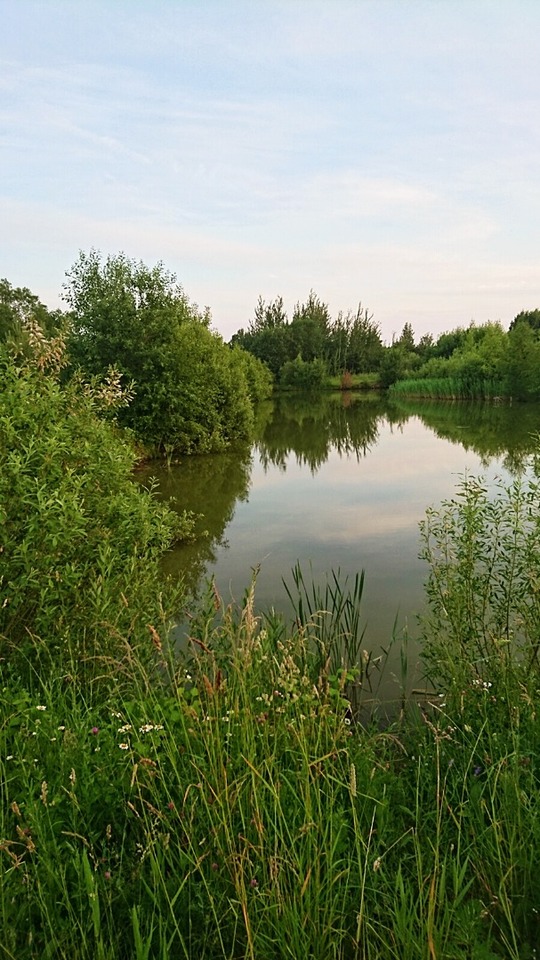 дом р-н Новгородский д Медвежья Голова ул Вечевая фото 20