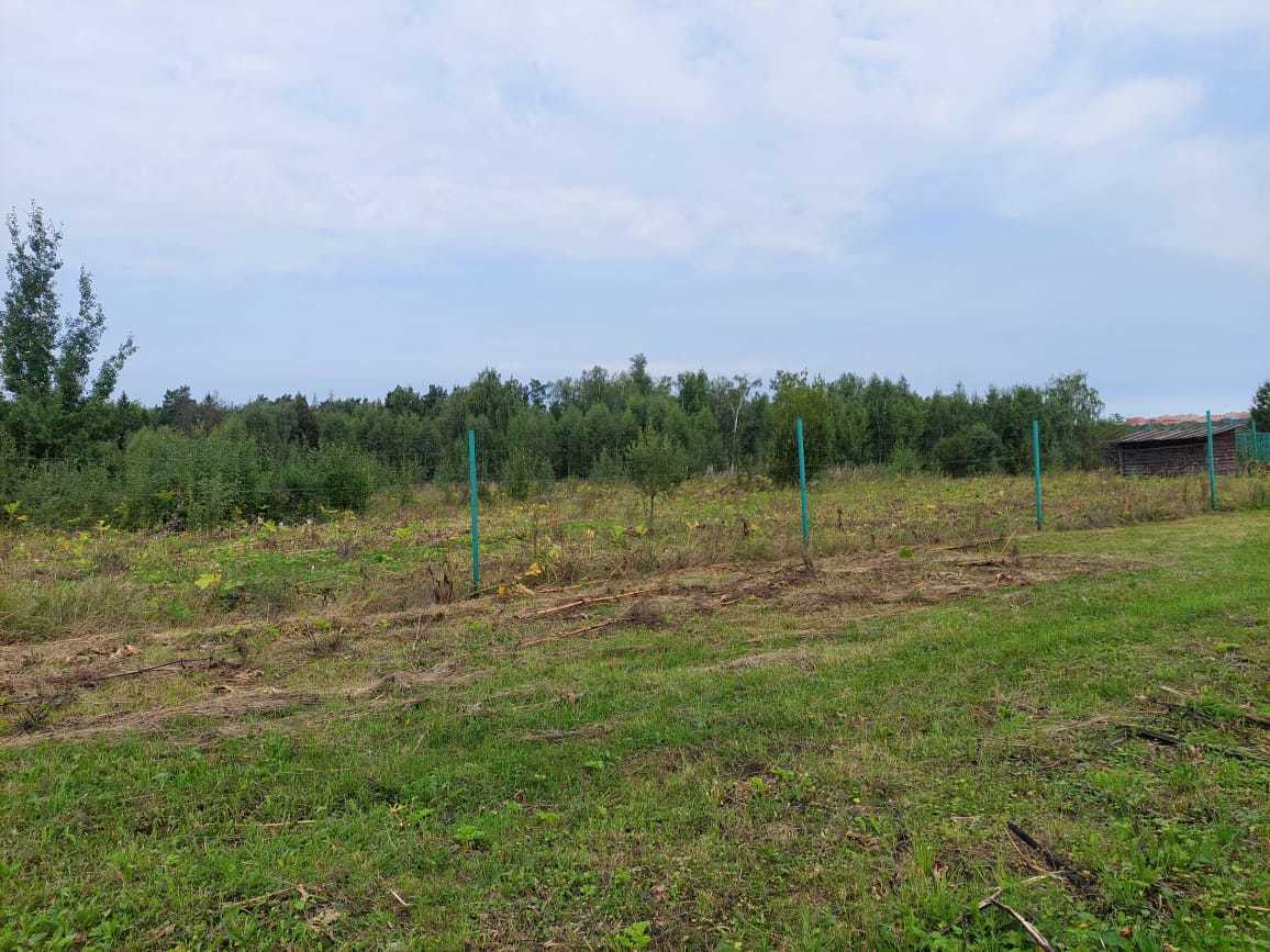 земля городской округ Истра д Борзые Борзые д. Светлая ул фото 9