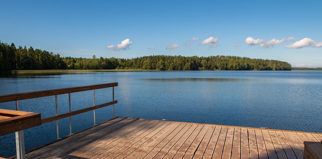 земля р-н Выборгский Приморское городское поселение, Сосновый пляж кп фото 22