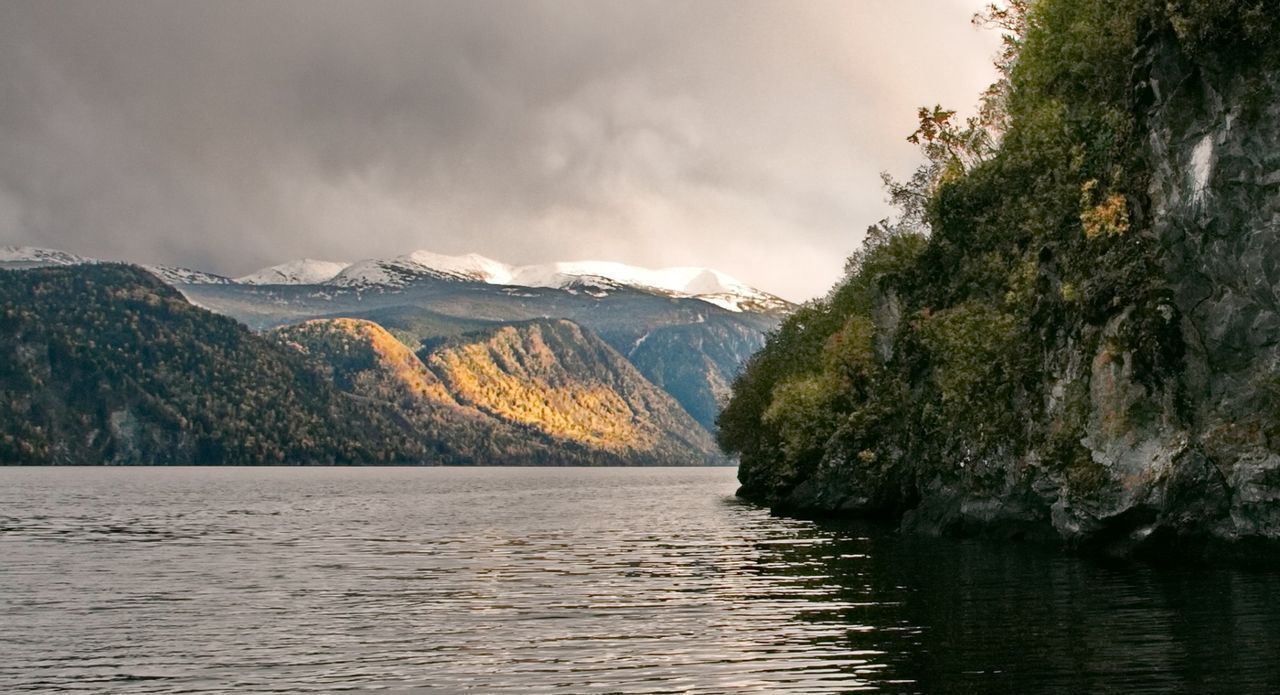 земля р-н Турочакский с Артыбаш Турочак фото 4