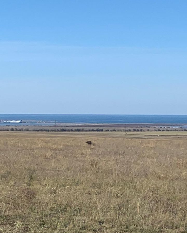 земля р-н Черноморский с Межводное Межводненское сельское поселение, Черноморское фото 5