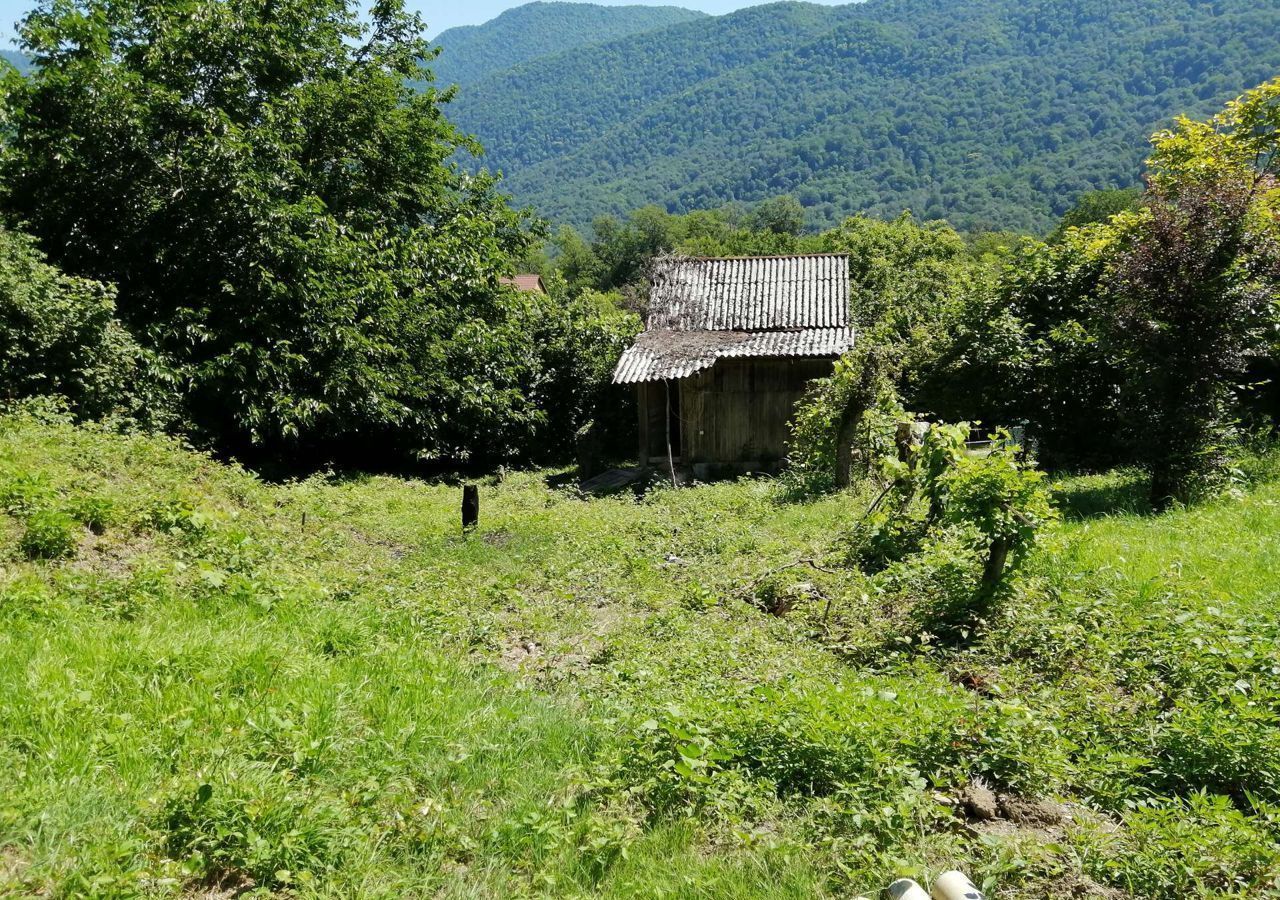 земля г Сочи р-н Адлерский с Галицыно снт Черноморец 38 фото 4