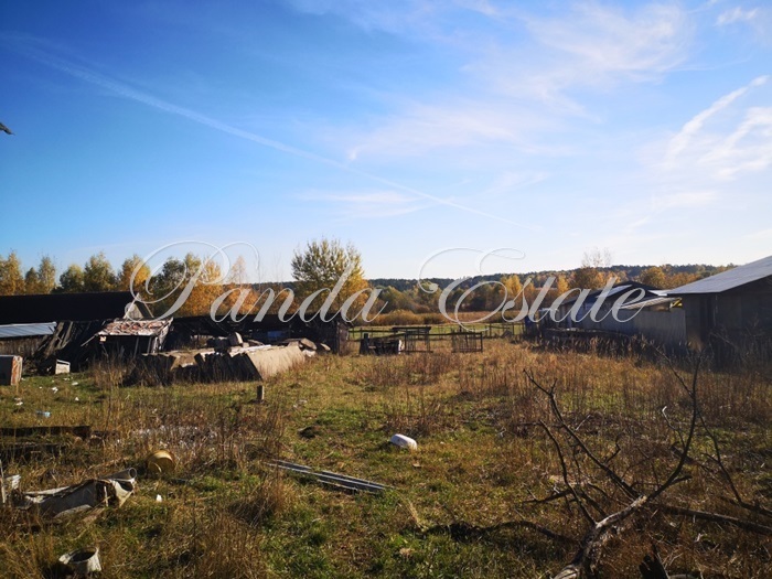 земля городской округ Одинцовский д Дубцы фото 10