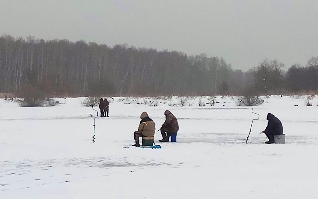 земля городской округ Чехов пос. Солнечный круг, Сельская ул фото 19