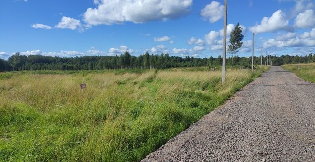 р-н Всеволожский п Токсово Токсовское городское поселение, городской пос. Токсово фото