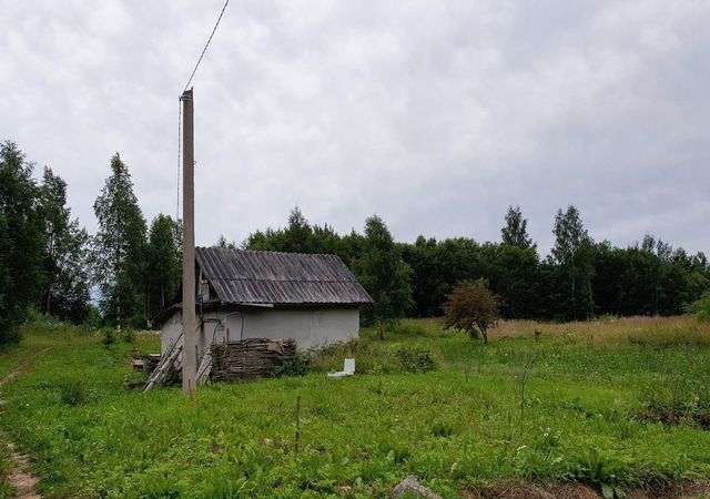 Самойловское сельское поселение, Пикалево фото