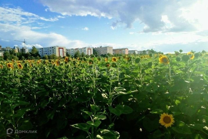 квартира р-н Белгородский п Дубовое ул Ягодная 5 фото 8