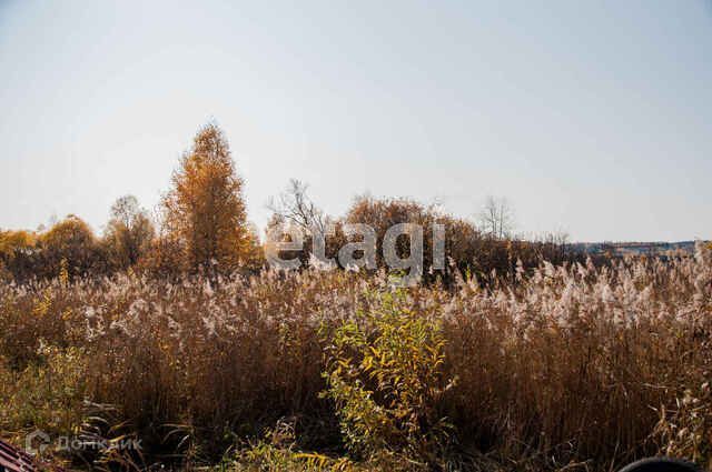 земля г Тобольск фото 1