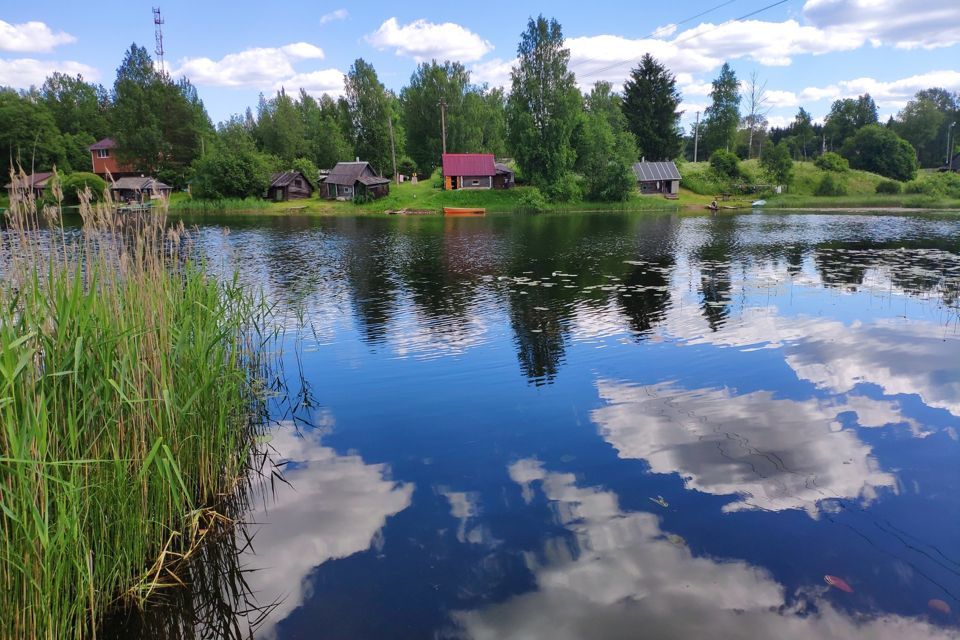 земля р-н Валдайский фото 1