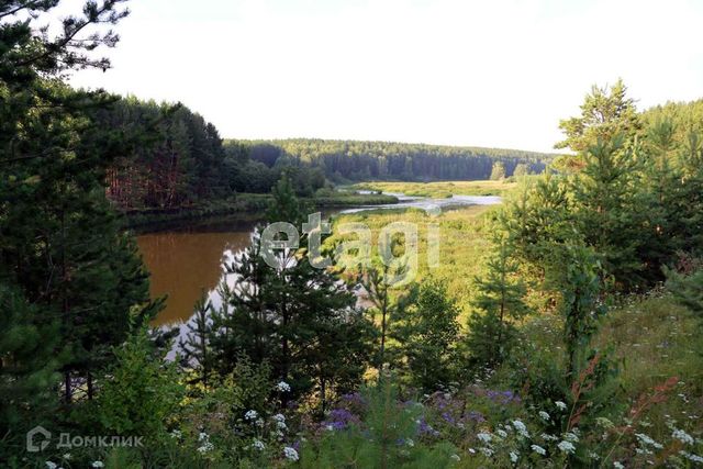 земля п Каменский фото