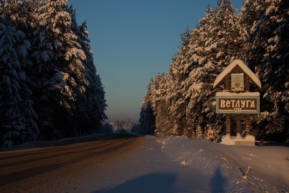 земля р-н Ветлужский фото 1