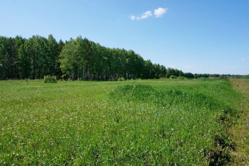 земля р-н Новгородский фото 1