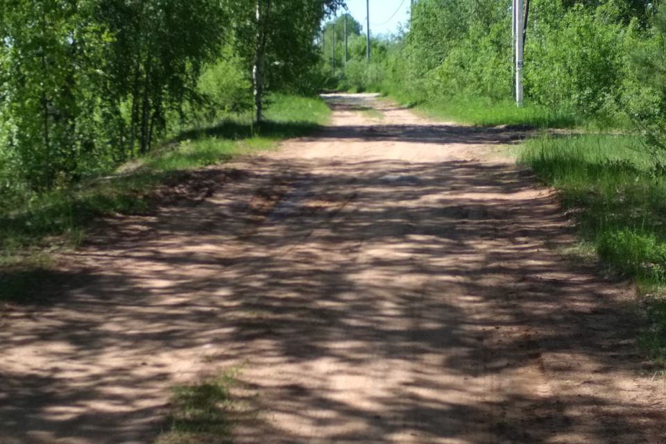 земля р-н Новгородский фото 2