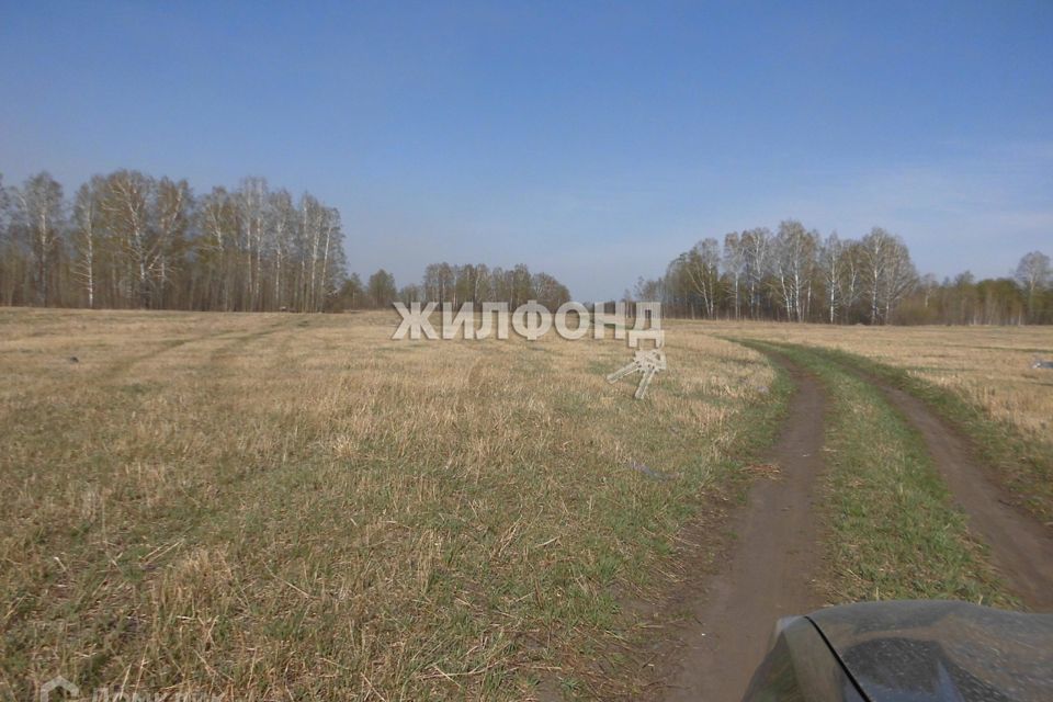 земля р-н Новосибирский с Красноглинное ул Складская фото 3