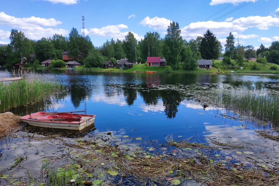 земля р-н Валдайский фото 2