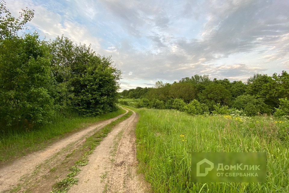 земля р-н Переславский д Криушкино ул Плещеевская 63 фото 3