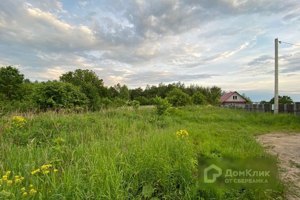 земля р-н Переславский д Криушкино ул Плещеевская 63 фото 2