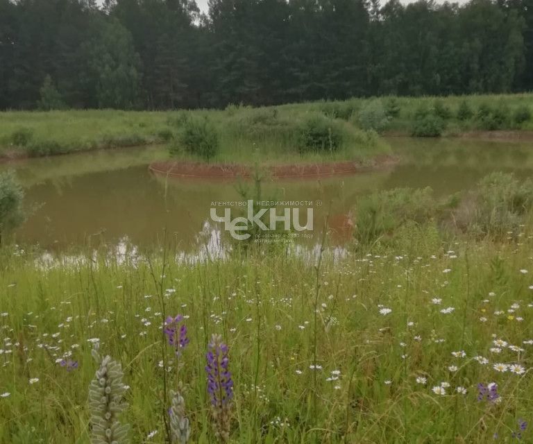 земля р-н Дальнеконстантиновский д Зубаниха ул Огородная фото 2