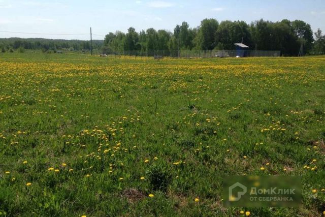 д Лихун ул Рубиновая фото