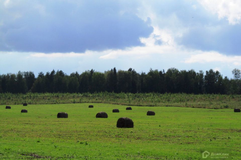 земля р-н Киржачский фото 1