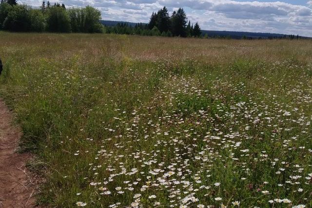 р-н Малопургинский с Норья ул Ударник фото