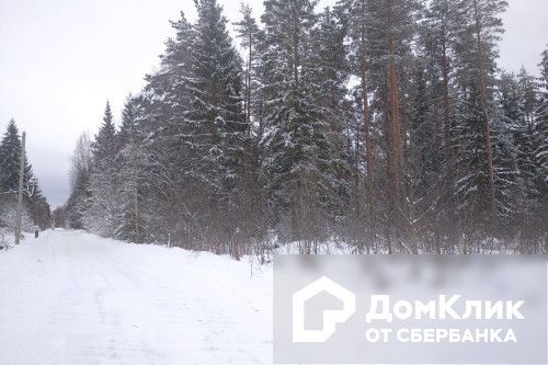 земля р-н Новгородский фото 1