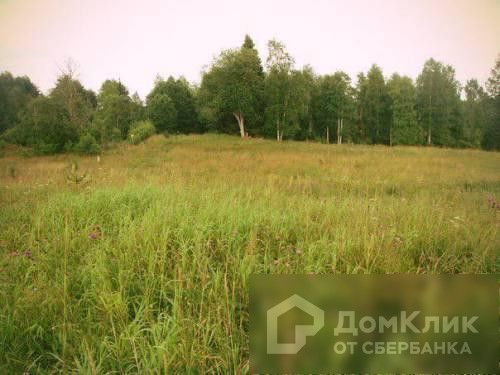 земля р-н Валдайский фото 1