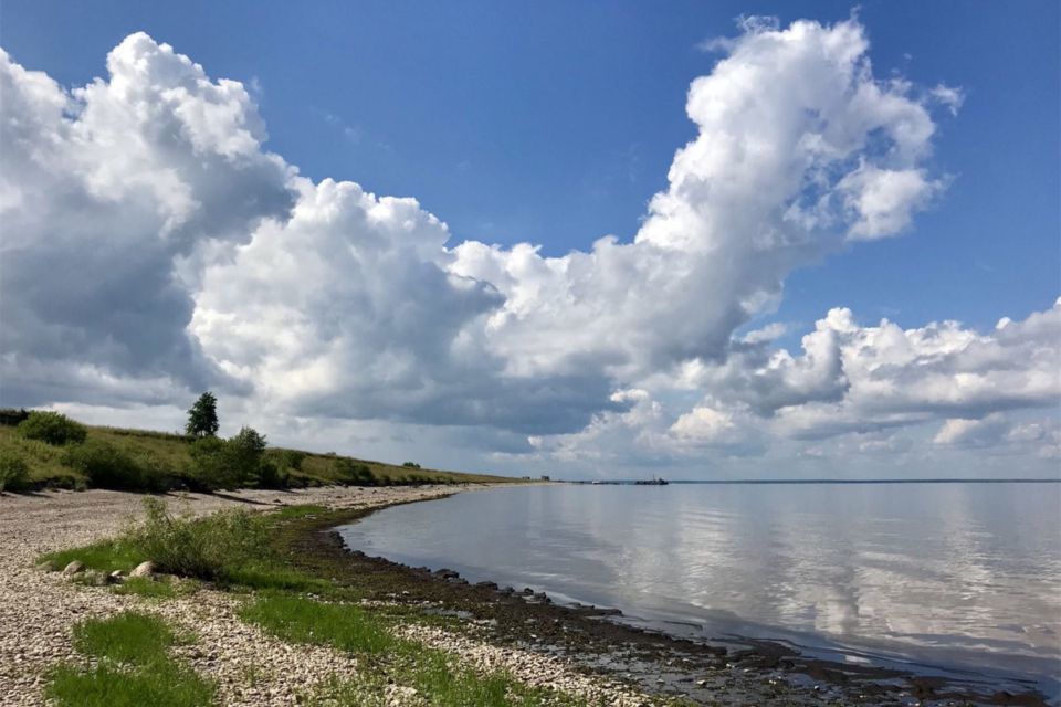 земля р-н Новгородский фото 1