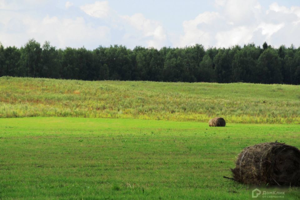 земля р-н Киржачский фото 3