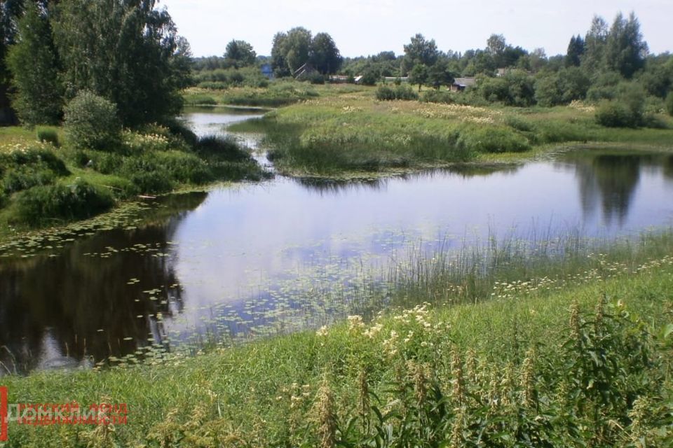 земля р-н Батецкий д Мойка ул Молодёжная фото 2