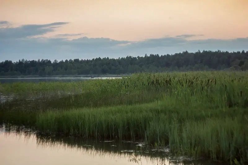 земля р-н Бологовский г Бологое ул Заозерье фото 3