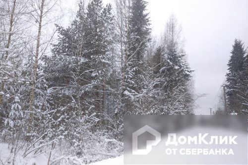 земля р-н Новгородский фото 2