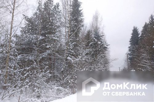 земля р-н Новгородский фото 3