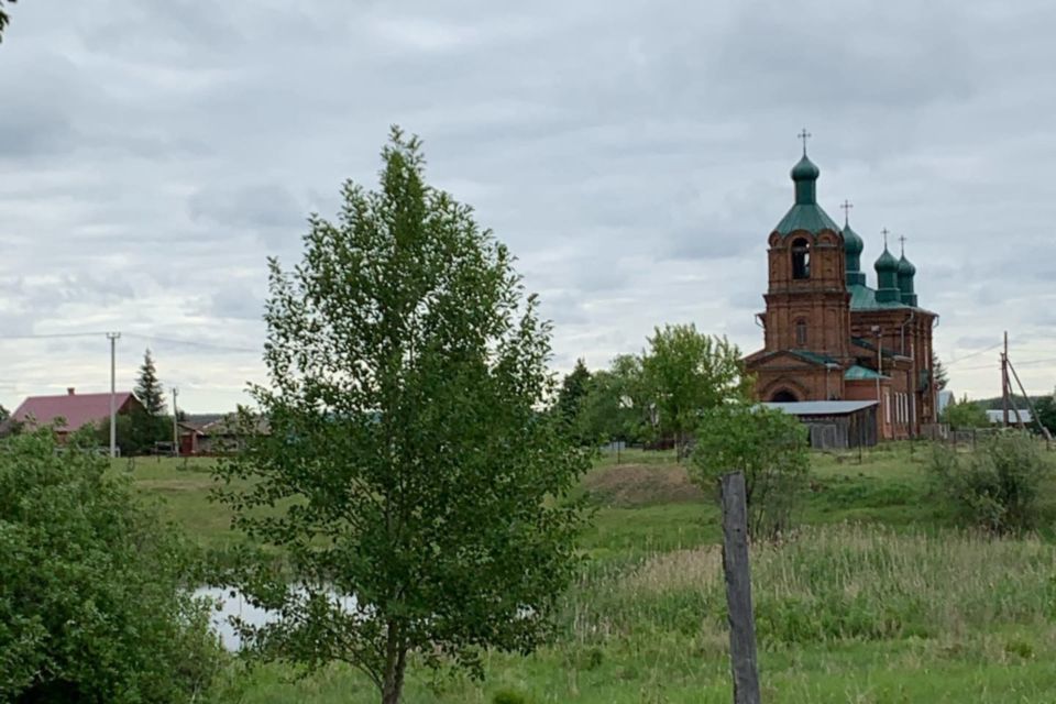 земля р-н Каслинский фото 3