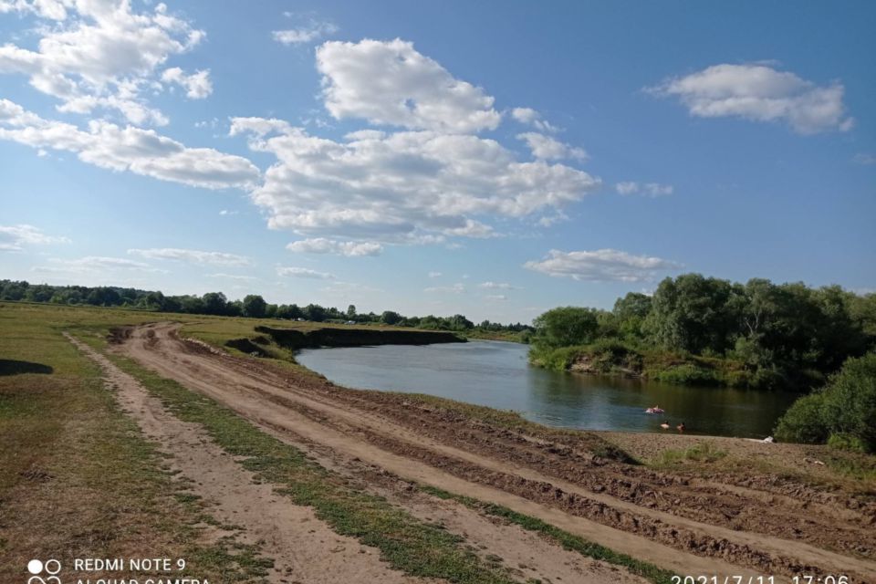 дом р-н Ельниковский с Стародевичье ул Терешковой фото 4