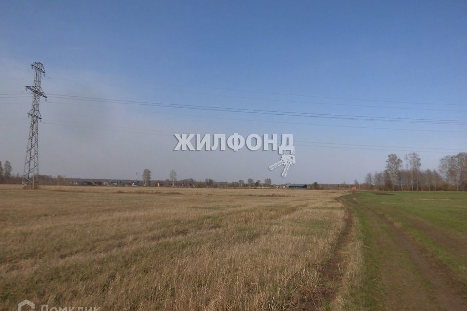 земля р-н Новосибирский с Красноглинное ул Складская фото 7
