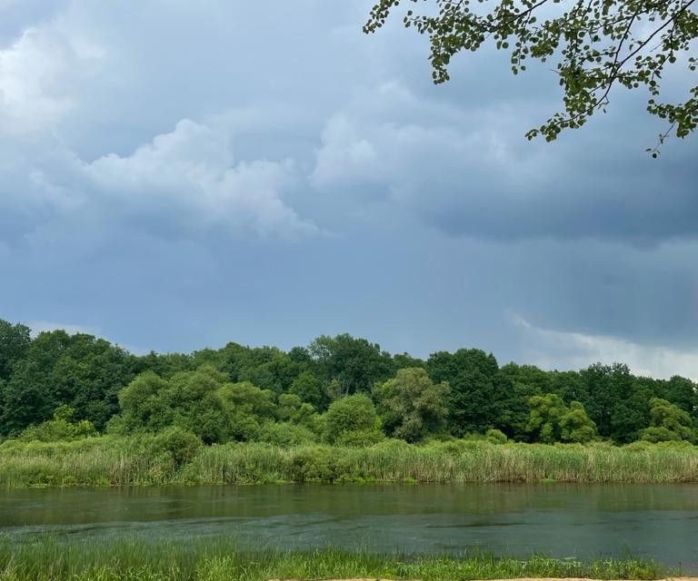 земля р-н Рамонский фото 9