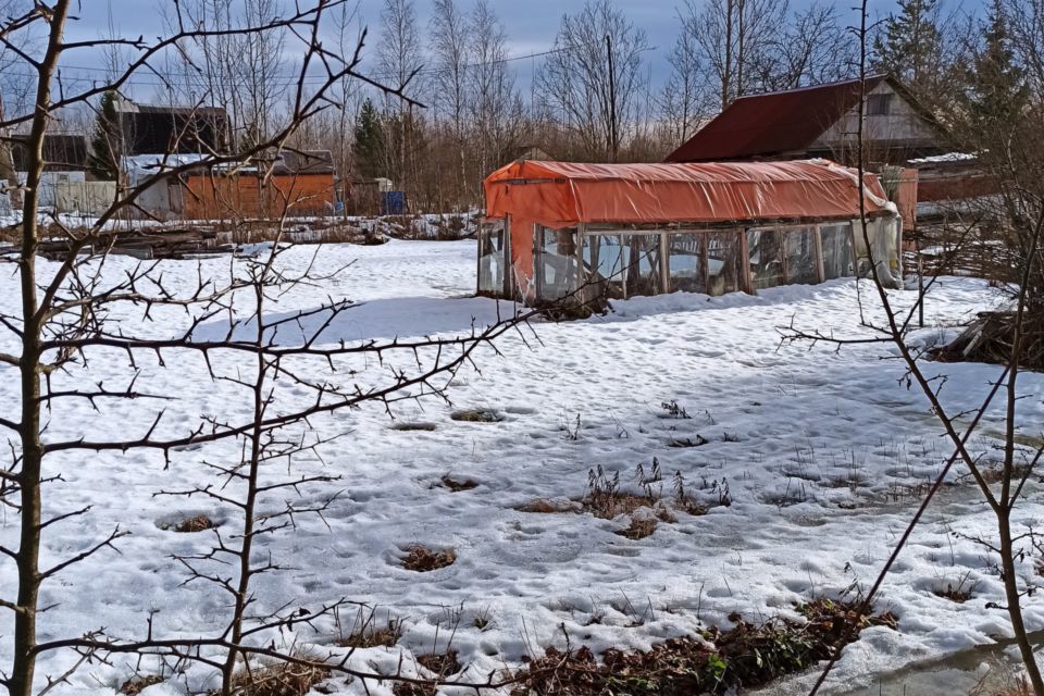 земля р-н Новгородский фото 6