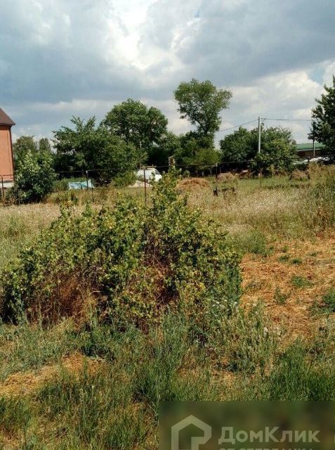 земля р-н Азовский х Колузаево ул Береговая фото 5